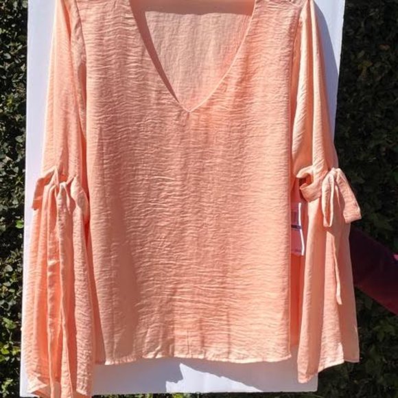 Chiffon Pink Blouse - Picture 3 of 14